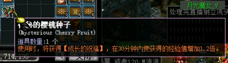 1.2倍樱桃