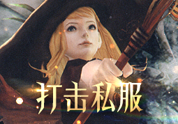 历年私服外挂打击成果